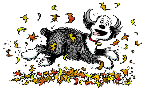 Farley romps in falling leaves.